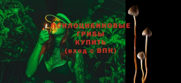 герыч Бородино