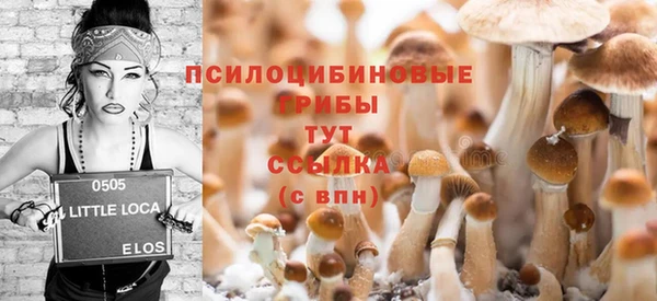 первитин Покровск