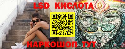 Альфа ПВП Бийск