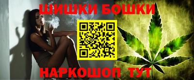 гидропоника Гатчина