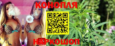 Альфа ПВП Бийск