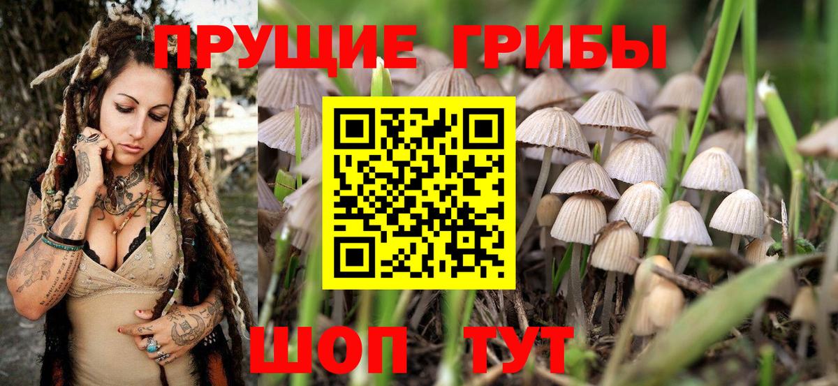 Галлюциногенные грибы прущие грибы Бузулук