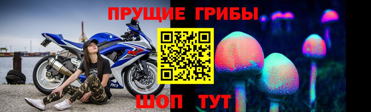 Галлюциногенные грибы GOLDEN TEACHER  Бузулук 